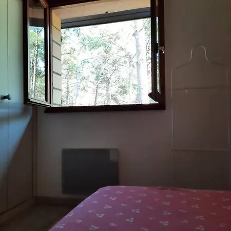 Maison D'ete Familiale, Piscine Dans La *
